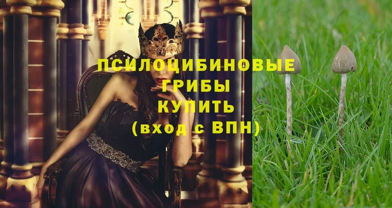 Галлюциногенные грибы GOLDEN TEACHER  где купить наркоту  Кулебаки 